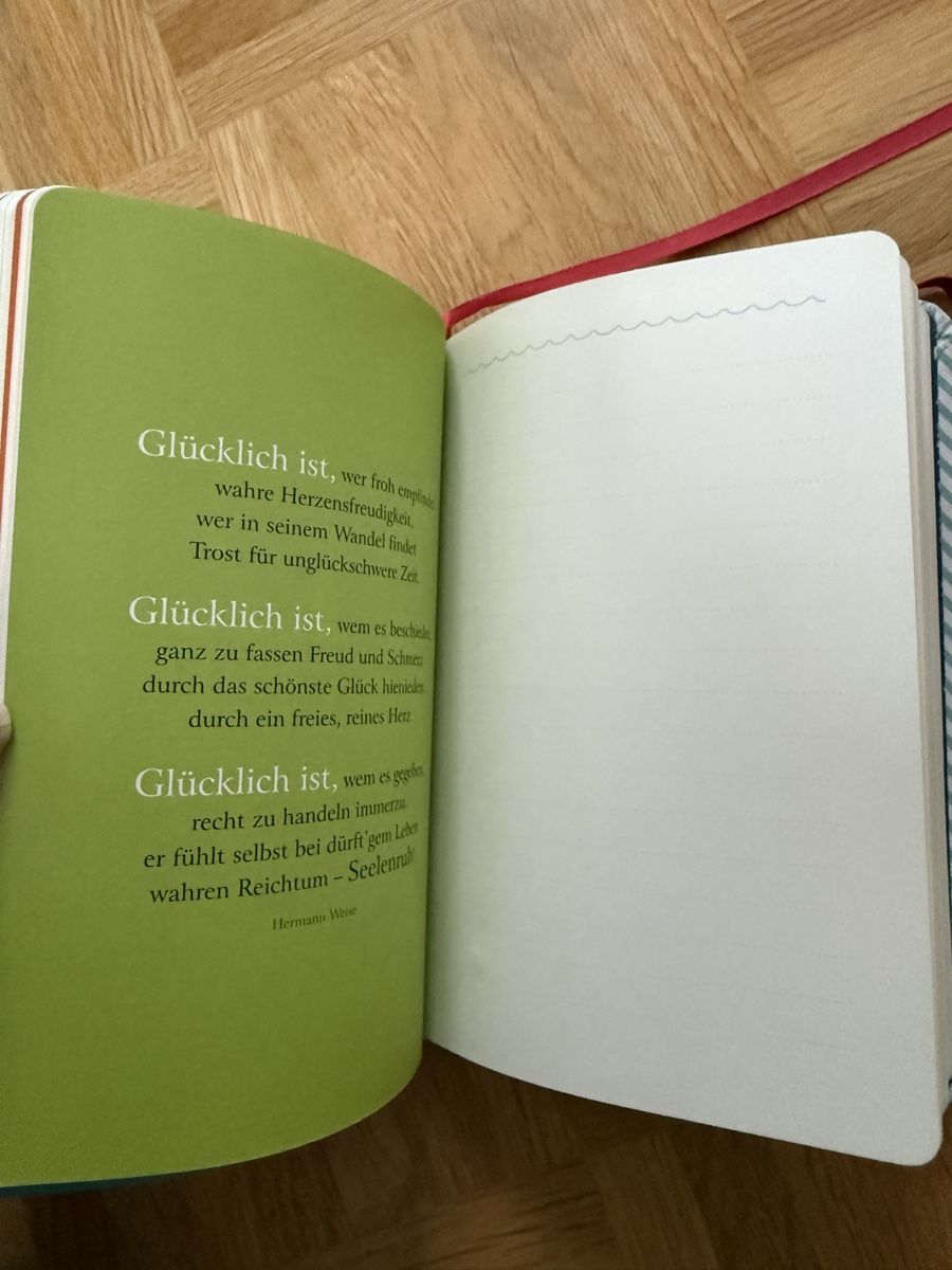 Blocchi: Glückstagebuch & Notizbuch  – Usato da Thun venduto da tahari 8