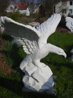 Steinadler