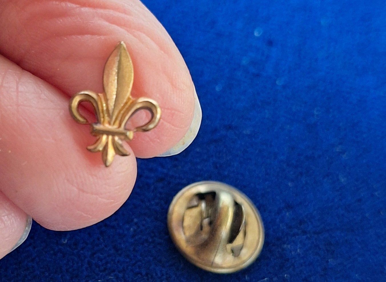 Placchette & Badge: Pin's Fleur de Lys – Usato da St-Triphon venduto da Jldr0 3
