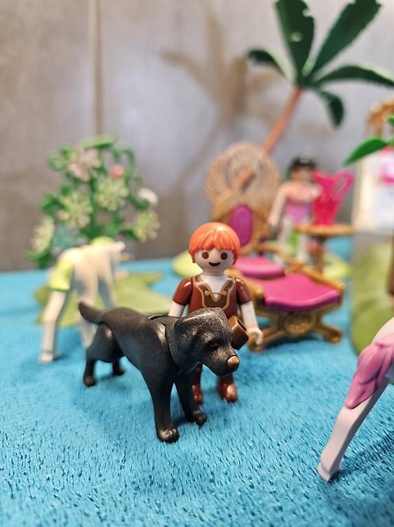 Giocattoli: Playmobil Feen Insel, Set 4 – Usato da Mettau venduto da b3po 2