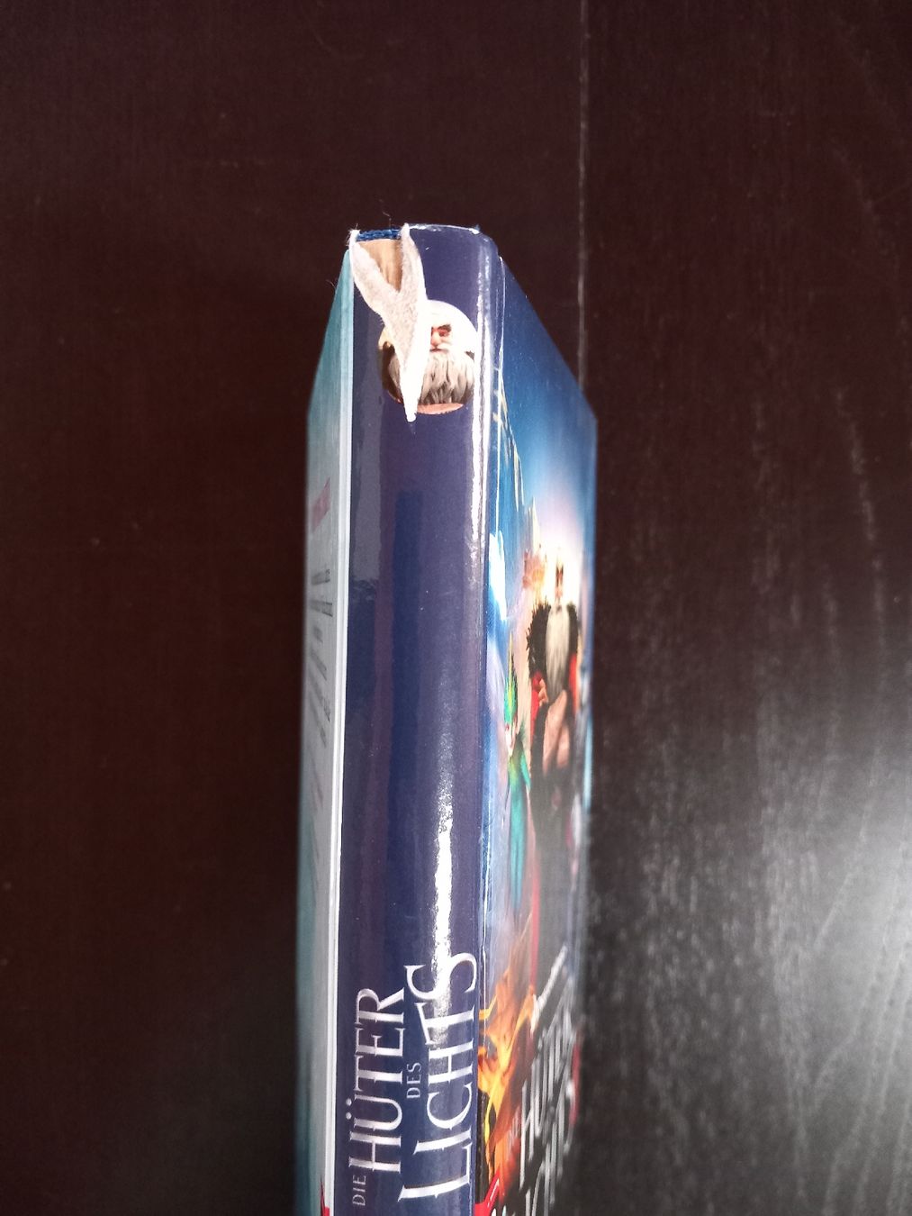 Libri: Buch "die Hüter des Lichts" – Usato da Dietwil venduto da talulla 3