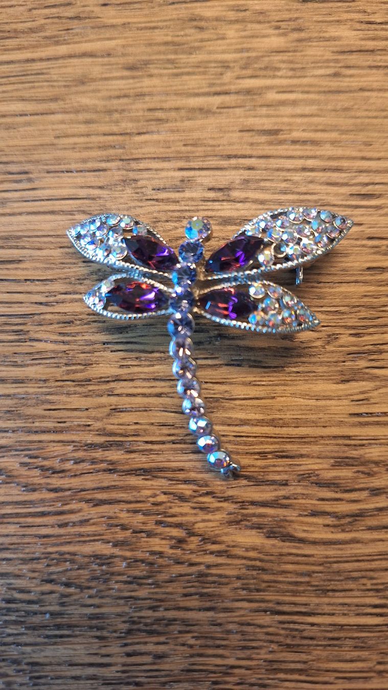 Broschen & Nadeln: Wunderschöne Libellen Brosche mit lila Strass-Steinen ✨ – Gebraucht aus Ebmatingen von Tschiipii 1