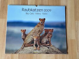 Kalender „Raubkatzen 2009" -> auch 2026 gültig!