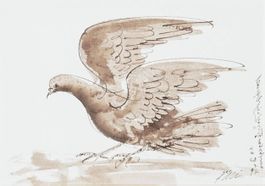 Erni Hans "Taube" 1992 Original Tusche auf Papier gerahmt
