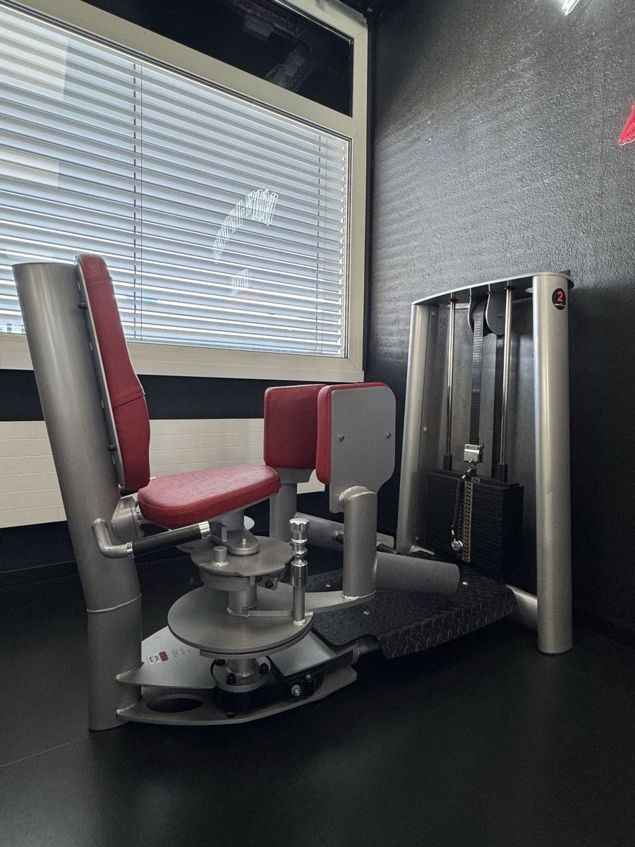 Gym80 Hometrainer: GYM80 Sygnum Line – Usato da Wil SG venduto da rog_g2jv 6