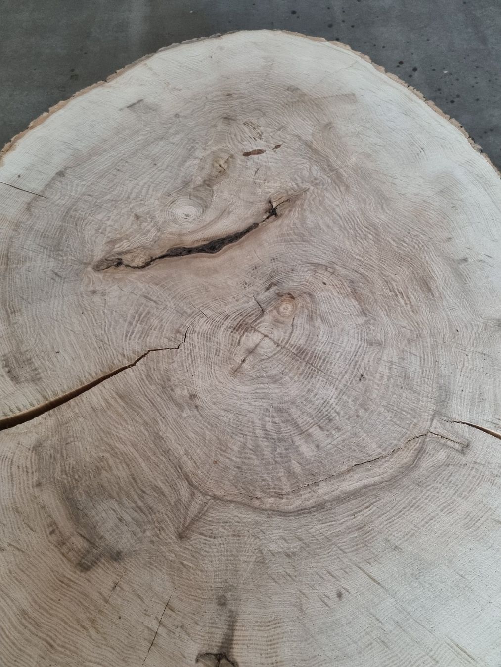 Holzartikel: Esche Baumscheibe Salontisch Baumstammtisch Couchtisch 12cm – Gebraucht aus Rheineck von Dein_Wunschholz 2