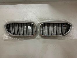 BMW M5 F90 Original Nieren Jahrgang 2018