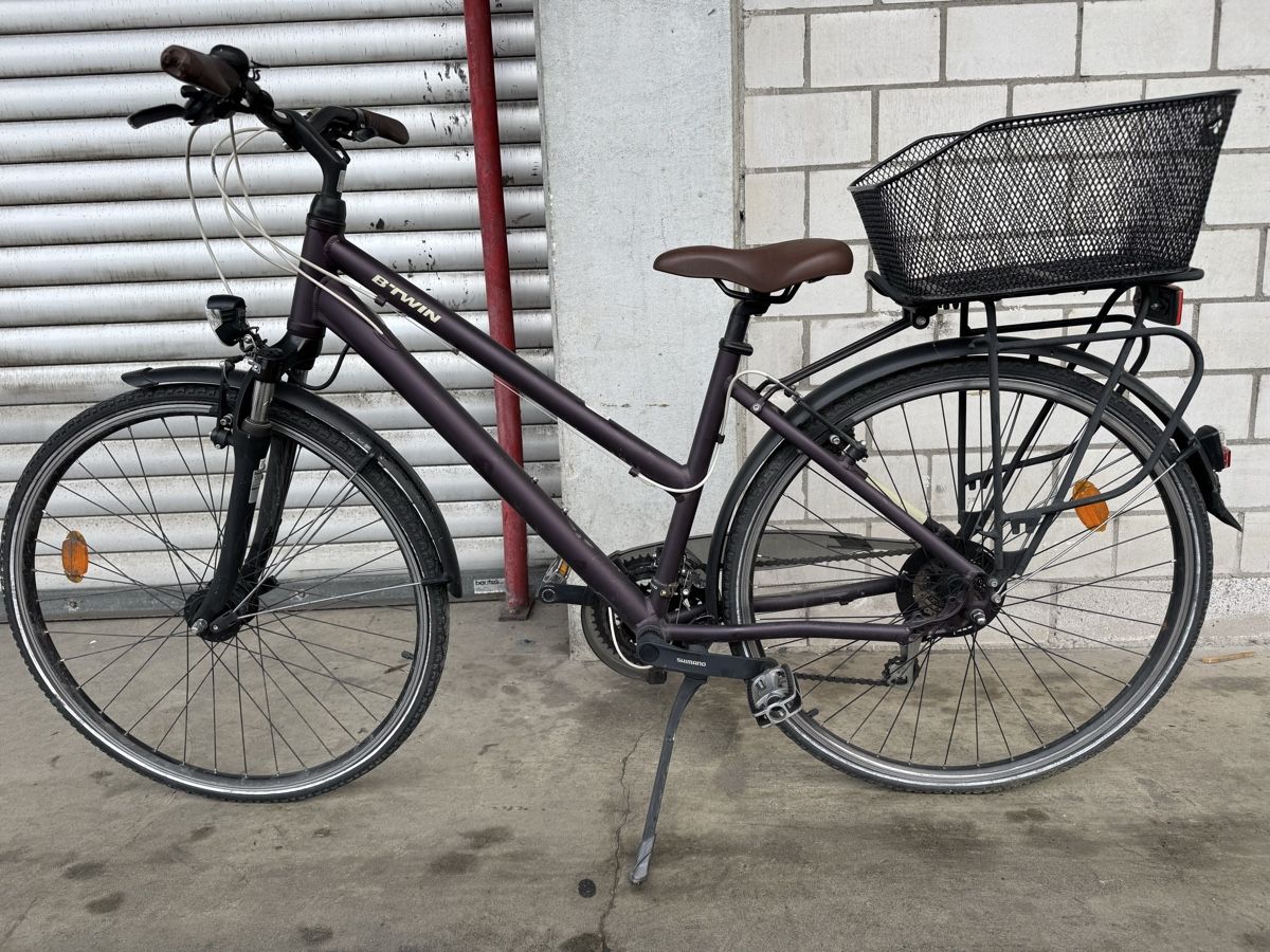 damenrad giant Tourer LDS City-Bike | Shimano Nexus 8-Gang | Nabendynamo Category:MTB Cross_Shimano Cues CS LG300  11 48T Stil:Hase D Torte/Zahl Der goldene Handschuh -