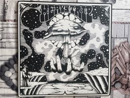 S870 Heavy Trip