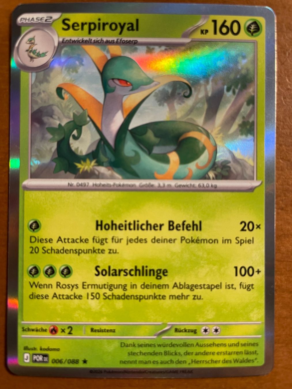 Pokémon Carte collezionabili: Pokemon Serpiroyal Holo (Versand gratis) – Nuovo (secondo la descrizione) da Chur venduto da Angerson