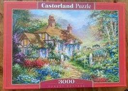 10 magnifiques puzzles de 1500 à 3000 pièces