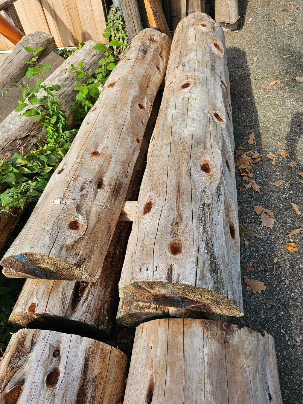 Holzartikel: Holz Hälblinge – Neu (gemäss Beschreibung) aus Aarburg von Joerg.Andre 2