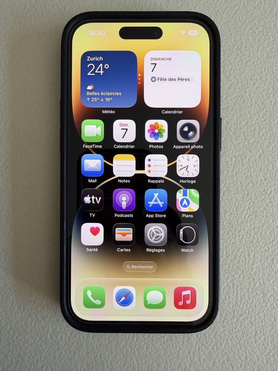 Apple Telefoni cellulari / Smartphones: iPhone 14 Pro Gold 512Go – Usato da Chavannes-de-Bogis venduto da ale_zp56
