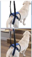 Imbracatura supporto cane anziano mobilit assistita