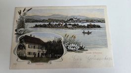 1905 Ansichtskarte Insel Ufenau