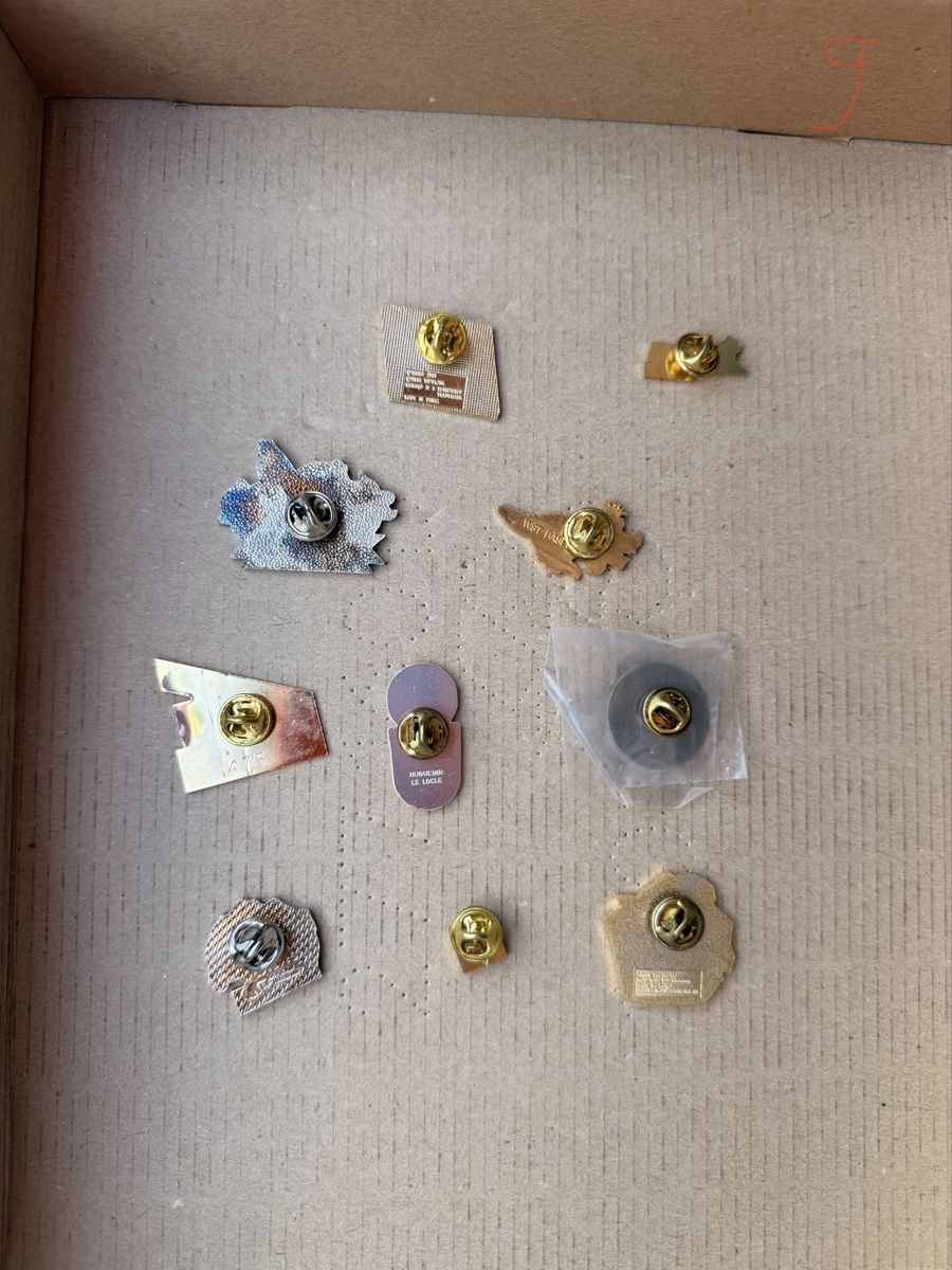 Placchette & Badge: Pin Set 9 - 10 Stück – Usato da st. gallen venduto da nerio450 1