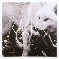 Caspar: XoXo CD
