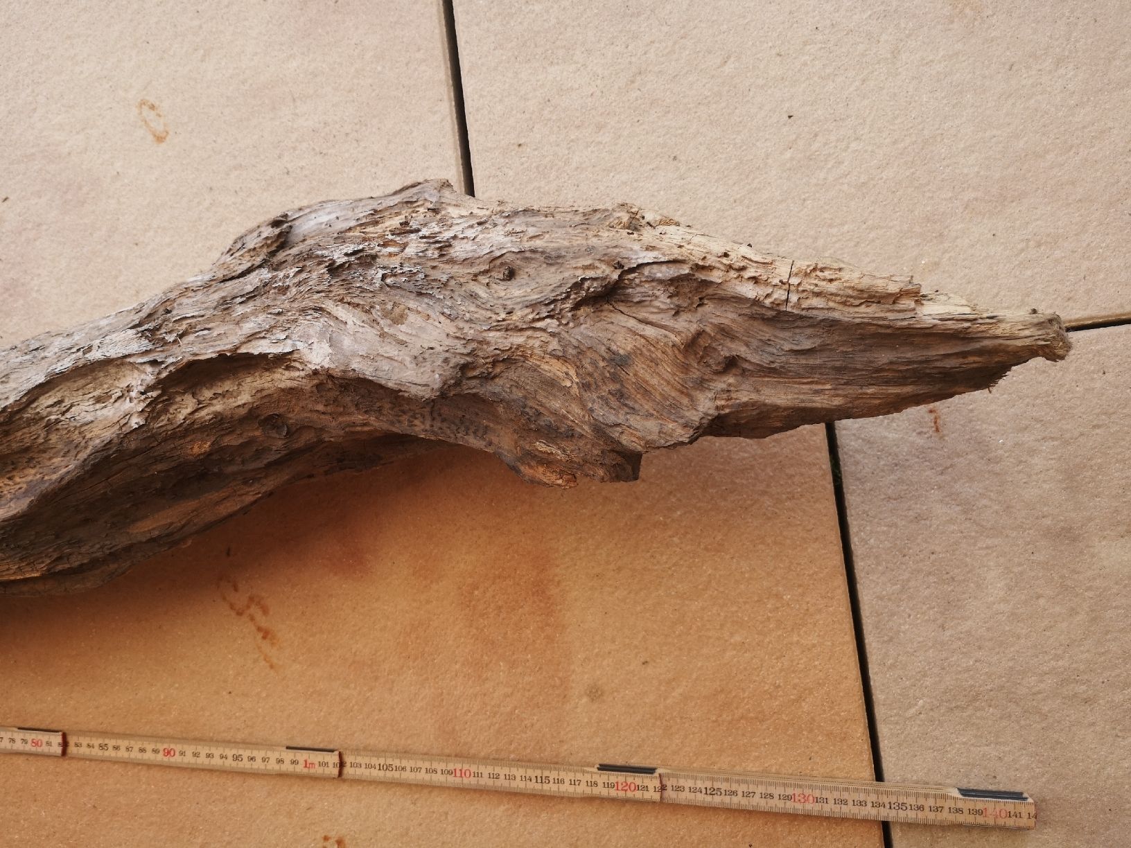 Articoli in legno: Schwemmholz sehr gross – Nuovo (secondo la descrizione) da Vordemwald venduto da Esel04 4