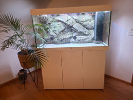 Aquarium Juwel Rio 350 mit 3d Rückwand