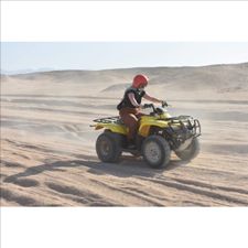 Profile image of ali_fn7w