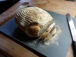 Sauerteig Starterkultur Roggenbasis Bio