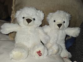 Teddy Bär 2 stk. beidi zämä weiss wunder schön