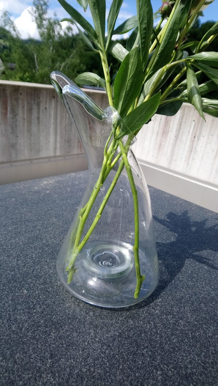 Vasi & Recipienti: Niederer Vase gross 32cm – Usato da Boll venduto da frauweber 4