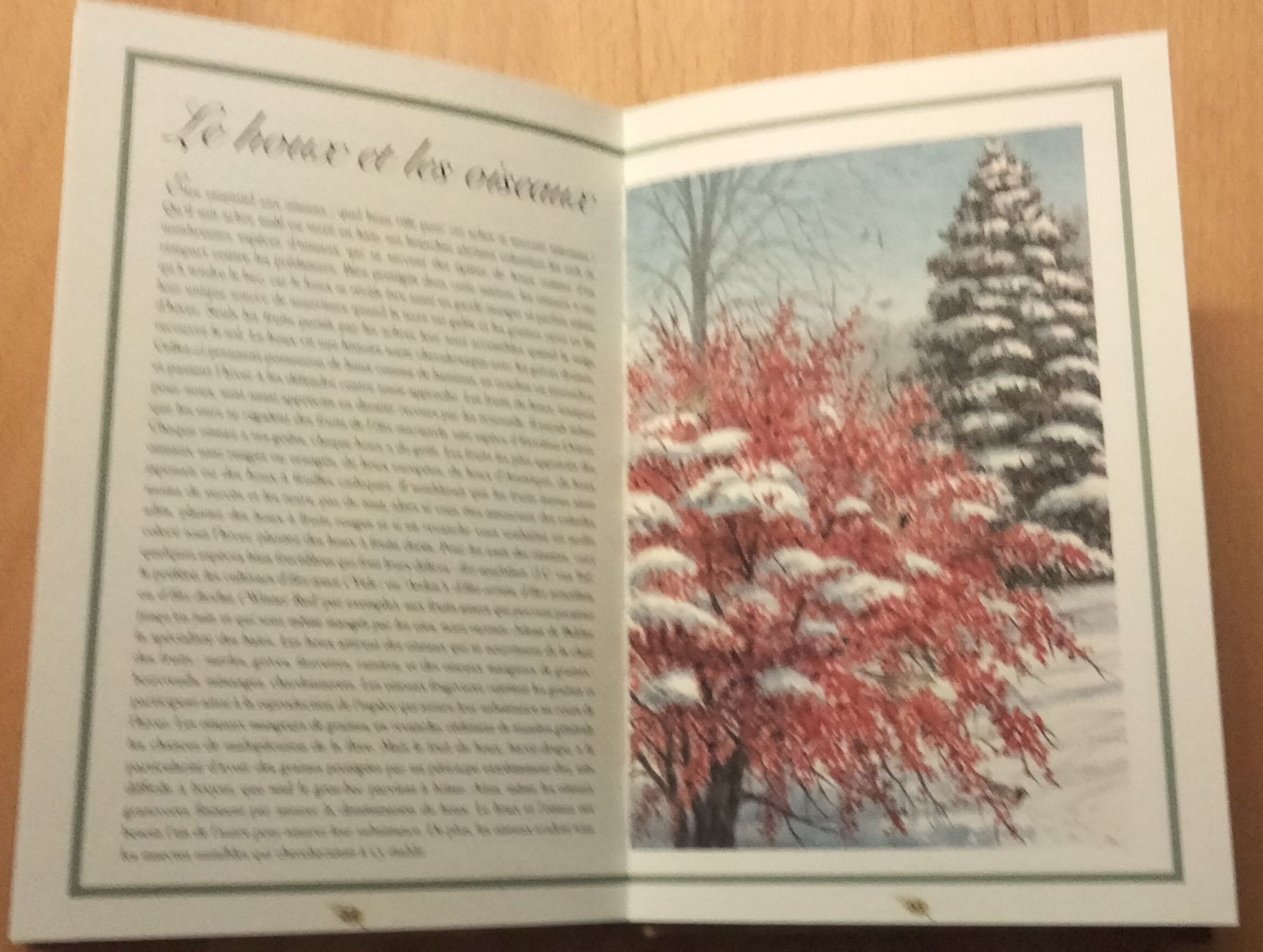 Bücher: "Houx - Les Carnets de Courson", neuwerti... – Neu (gemäss Beschreibung) aus Niederglatt ZH von Siegfried67 8