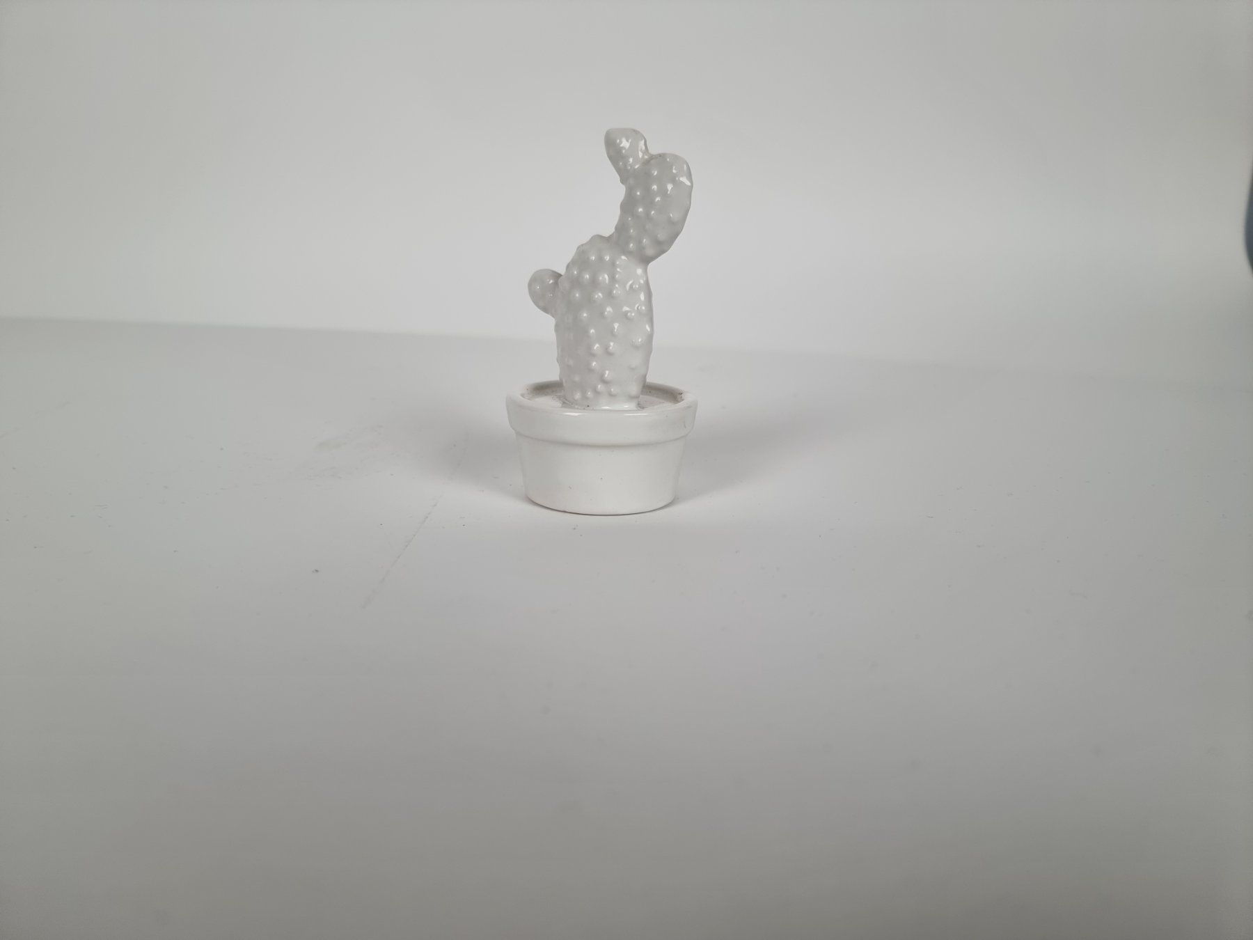 Statuette: Porzellan Kaktus – Usato da Urtenen-Schönbühl venduto da Restwert_Schoenbuehl 1