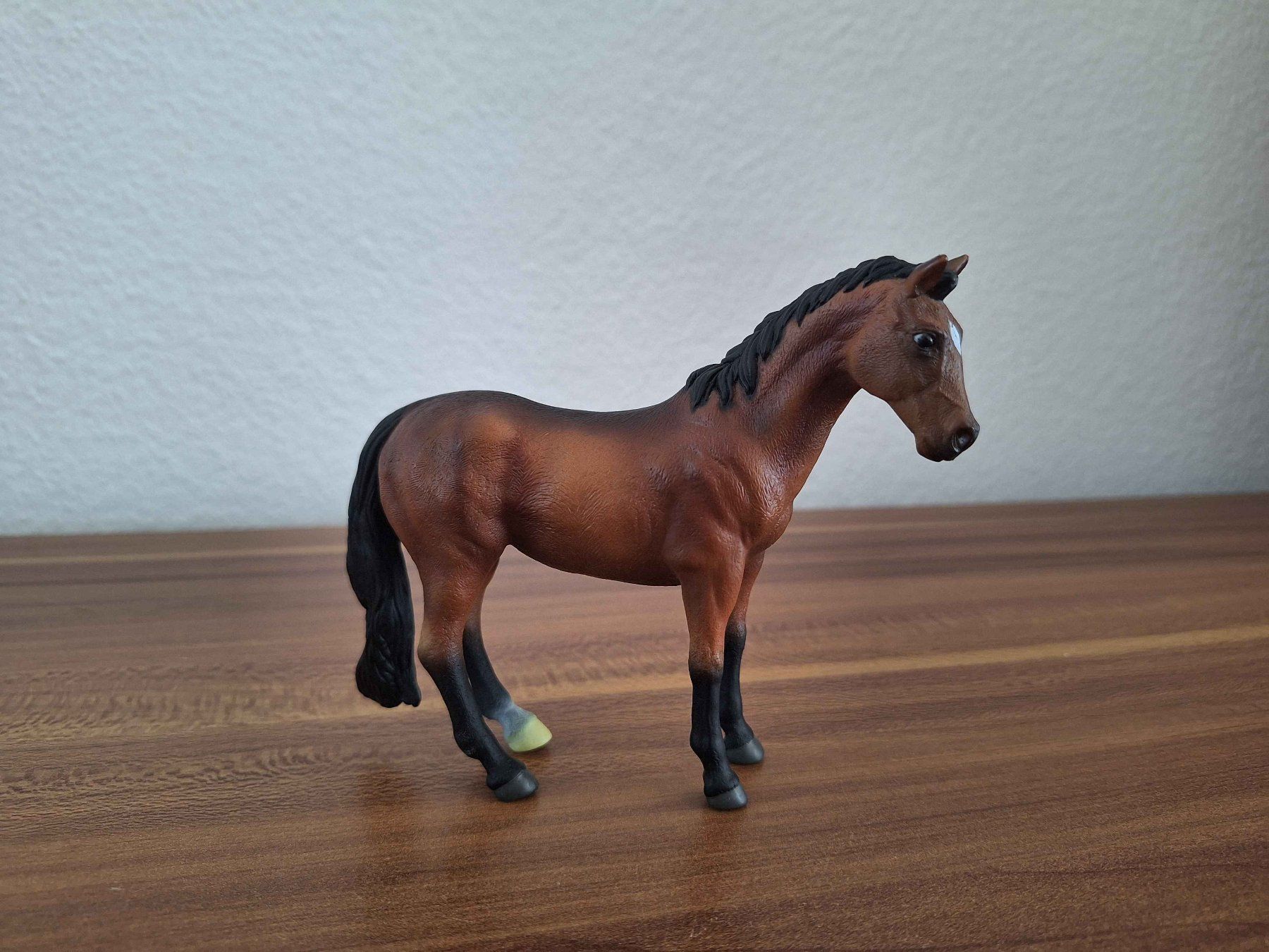 Jouets: Warmblut Procon Antiquariat – D'occasion à Grenchen par LadyCalis 1