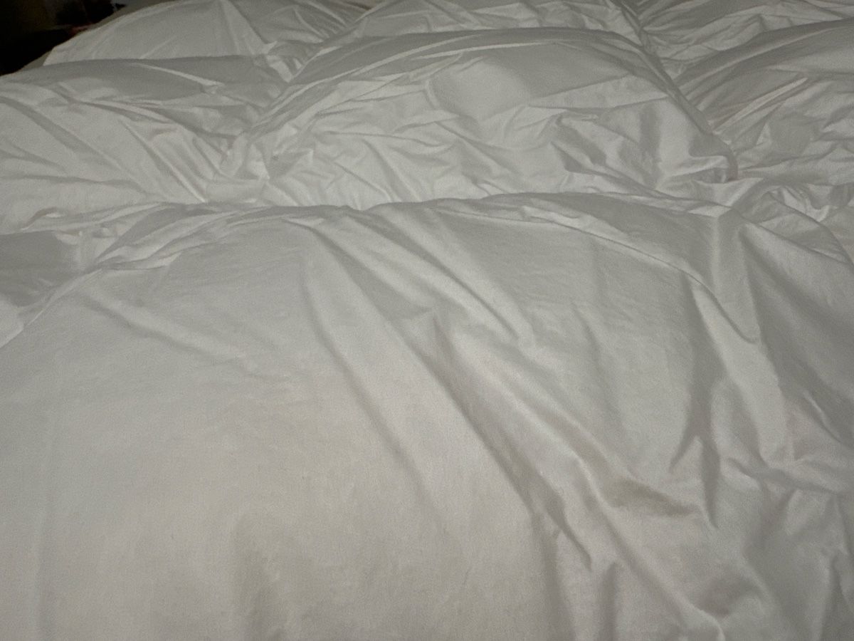 Coperte: Daunendecke und Kissen – Usato da Frümsen venduto da Swissline90 7