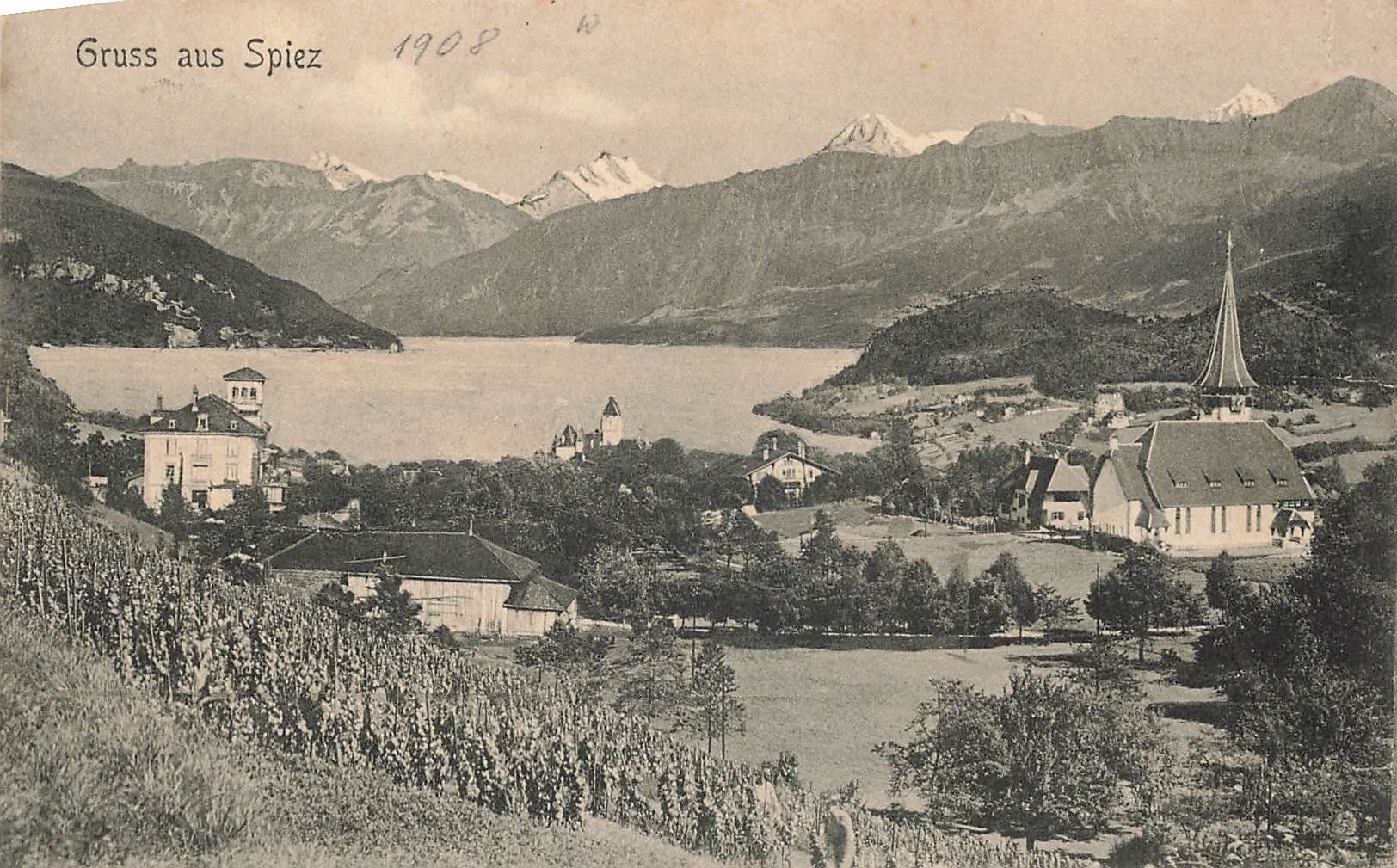 Ansichtskarten: Gruss aus Spiez 1908 – Gebraucht aus Schwyz von Seffi56