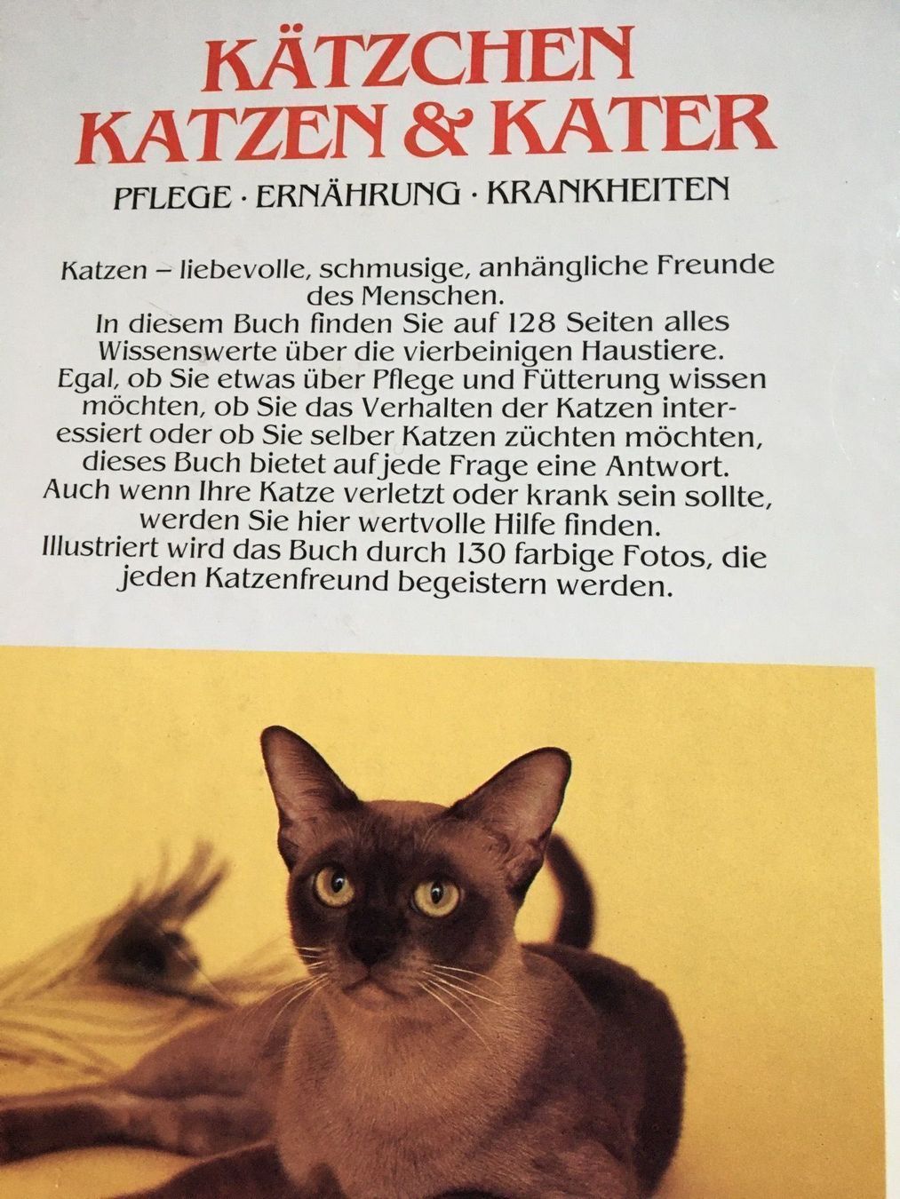 Libri: Kätzchen Katzen und Kater – Usato da Arth venduto da Vrecam51 4