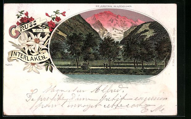 Cartoline postali: Litho Interlaken, Die Jungfrau im Alpeng – Usato da Berlin venduto da bartko-reher