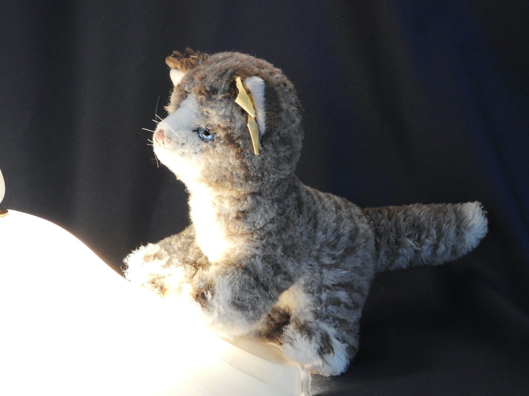 Steiff Spielzeuge: Original Steiff  Katze Plüschtiet – Gebraucht aus Horw von luzernicus 2