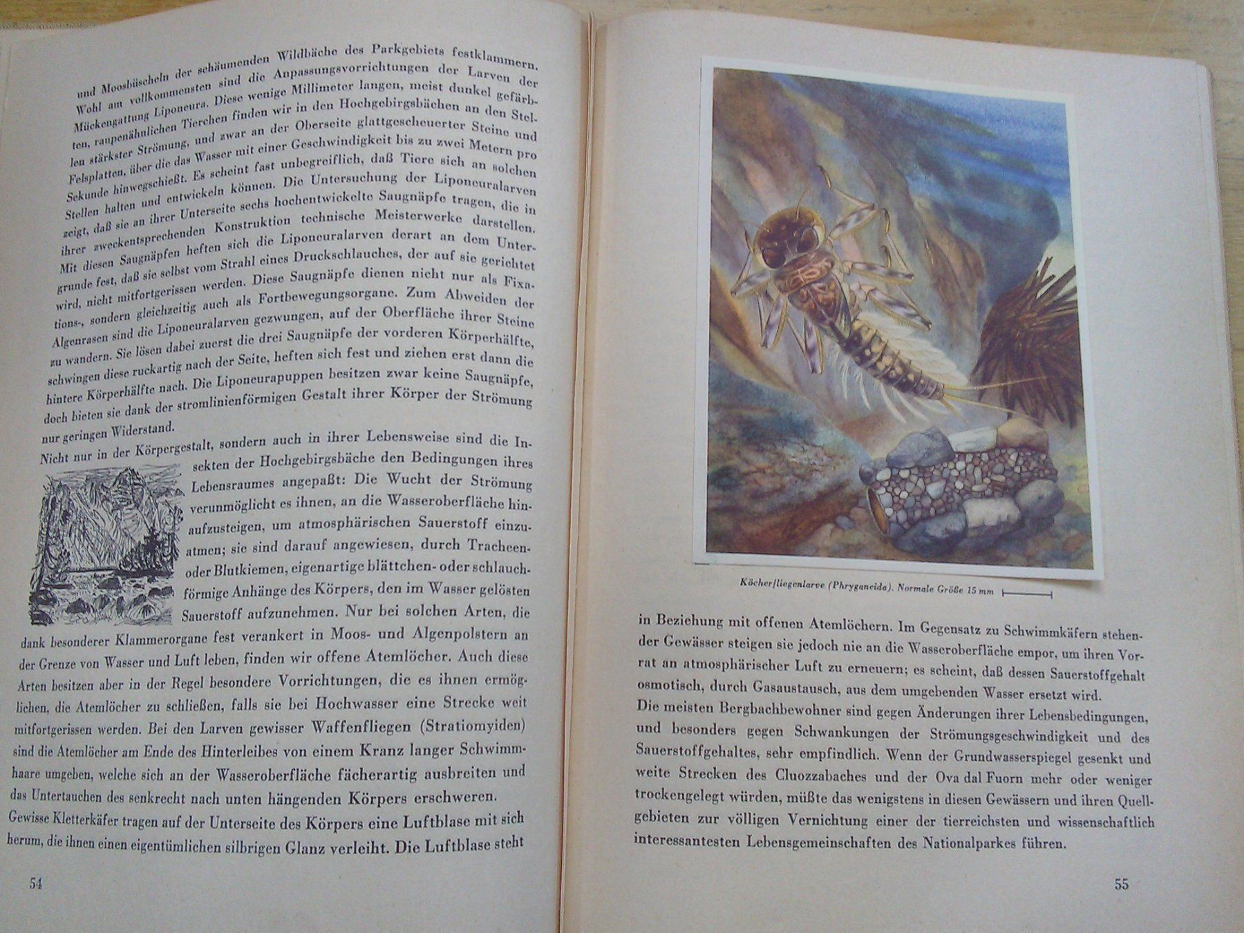 Libri: Der Schweizerische Nationslpark (1949) – Usato da St. Gallen venduto da elkapone 7