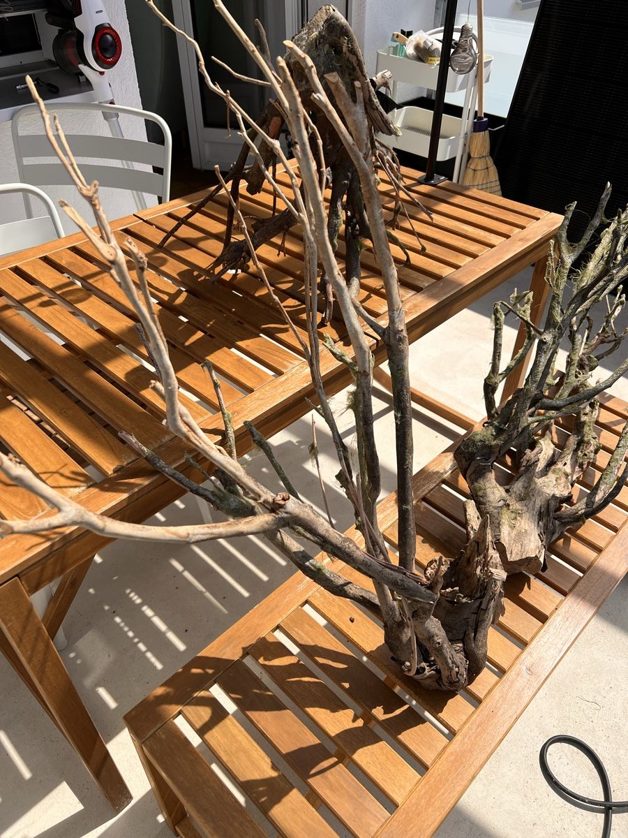 Acquari: Aquarium Holz  – Usato da Walkringen venduto da ise_v5dn 2