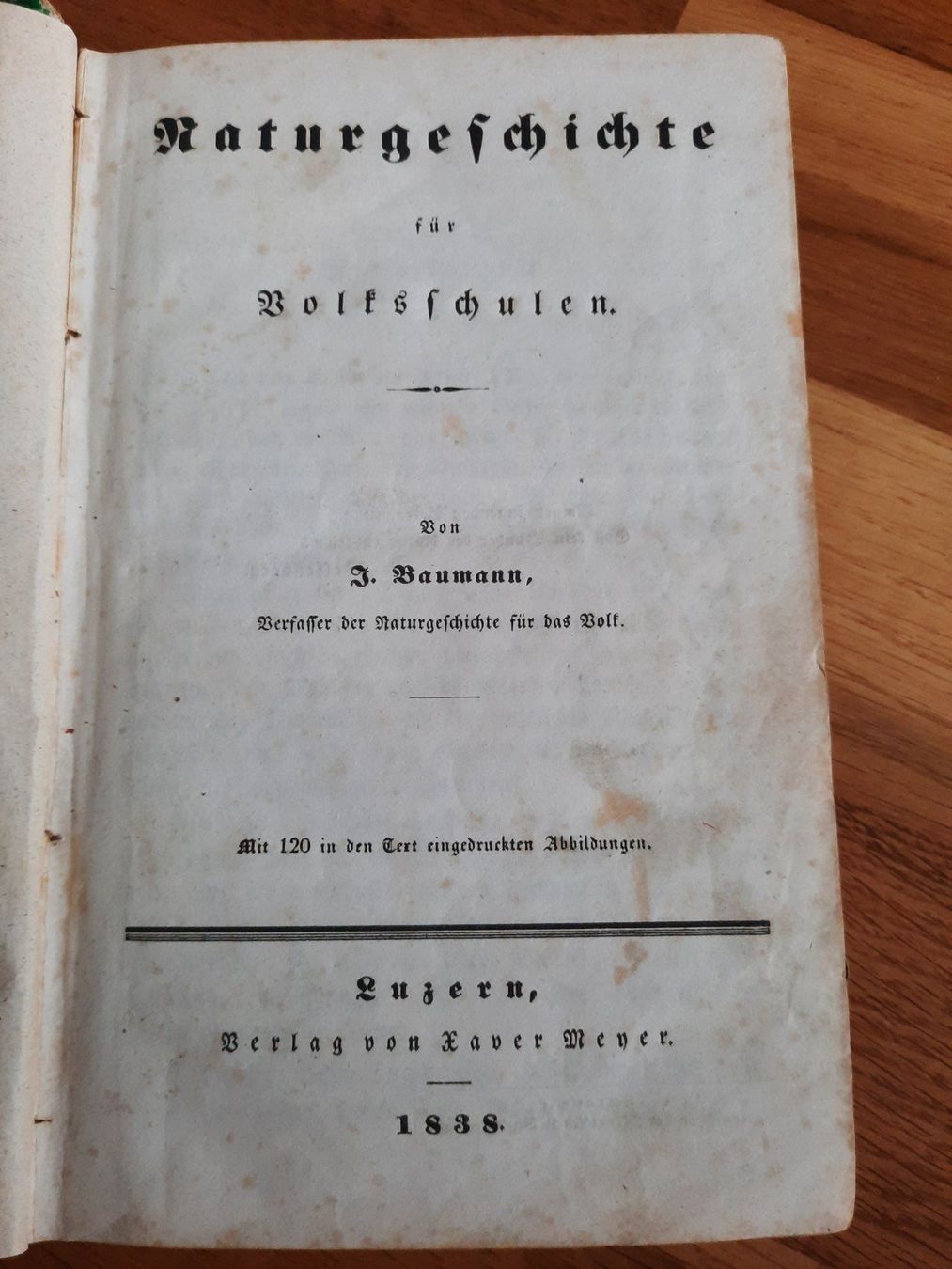 Libri: Antikes Naturkundebuch 1838 – Usato da Luzern venduto da Namruk01