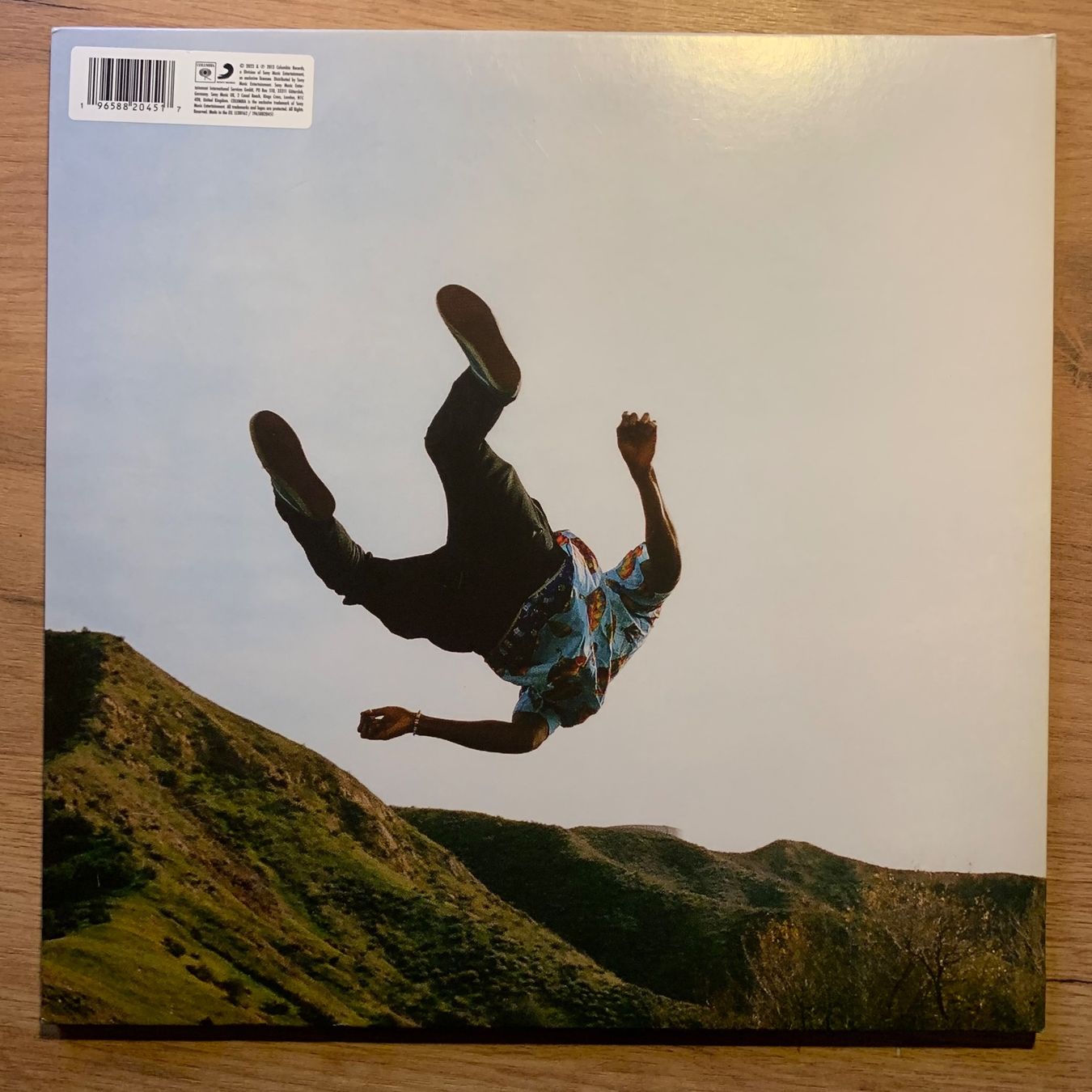 Dischi in vinile: TYLER THE CREATOR - WOLF...RE EU 2023...EX/VG++ – Usato da Gals venduto da Diskopatshop 2