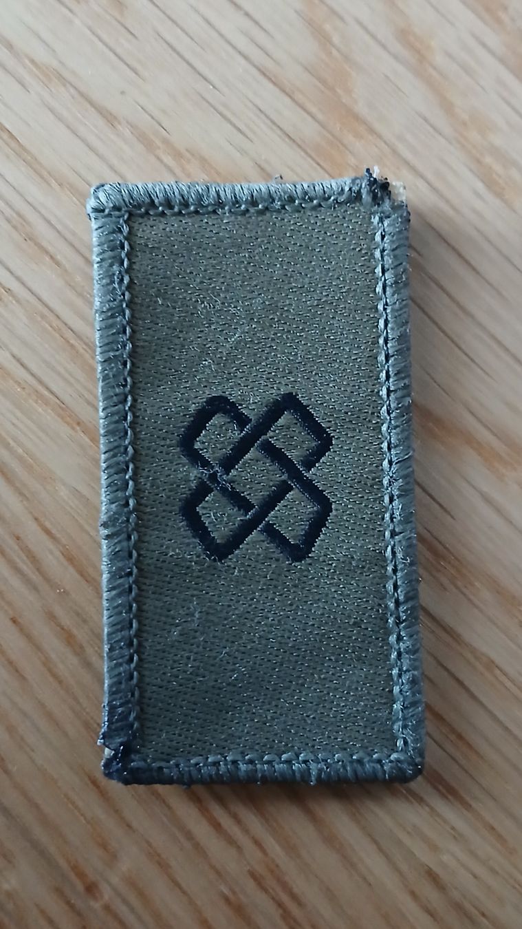 Schweizer Armee Placchette & Badge: Insigne logistique armée suisse  – Usato da Sciernes-d'Albeuve venduto da Dojo004