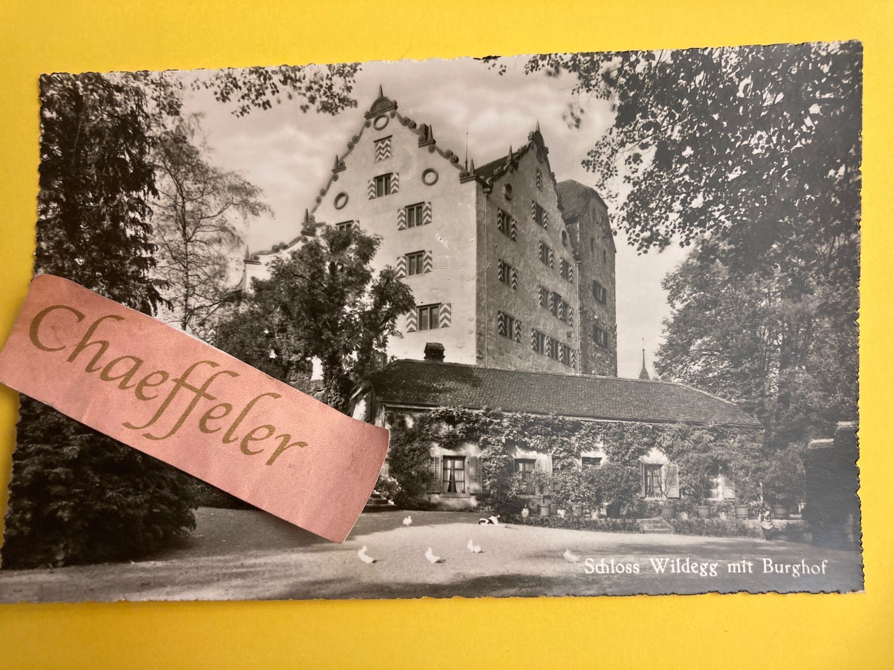 Cartoline postali: Schloss Wildegg mit Burghof – Usato da Zürich venduto da Chaeffeler
