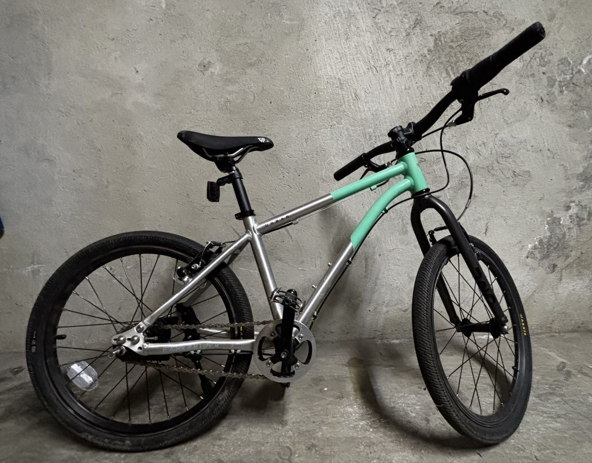Biciclette: Easy Rider Urban 24 – Usato da Basel venduto da motam 2