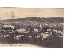 La Chaux-de-Fonds Kühe Poststempel 1920