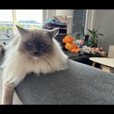 Profile image of Keke311