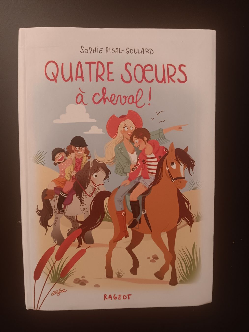 Libri: Quatre sœurs à cheval – Usato da Lausanne venduto da Grabock