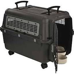 Gabbie, trasporto & Sicurezza: Hundetransportbox  – Usato da Bassersdorf venduto da Peggy73