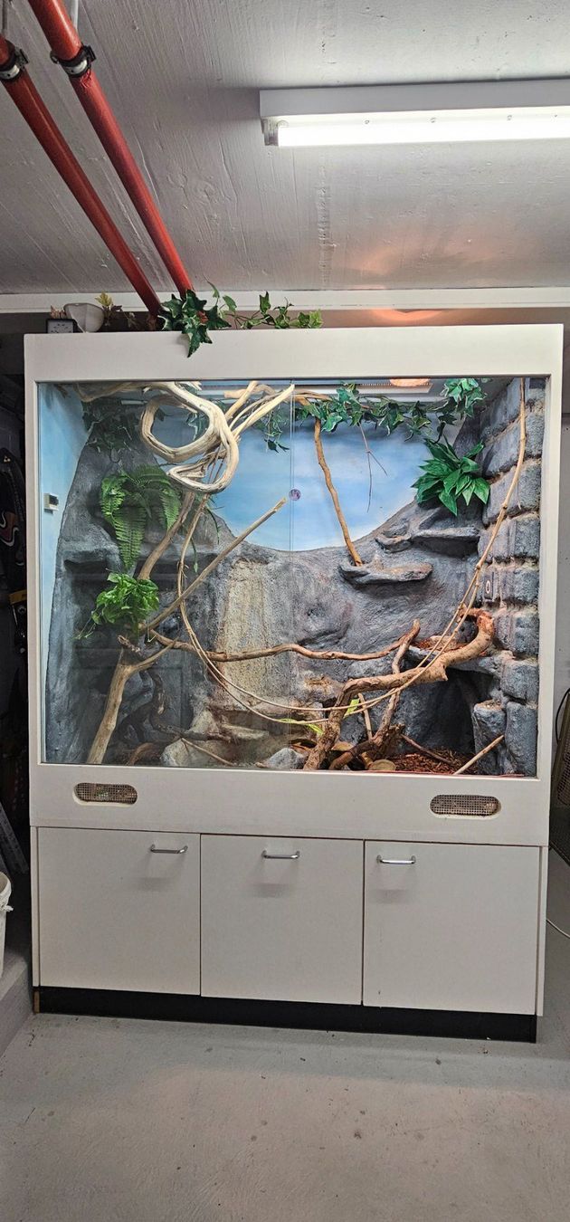 Terrario: TERRARIUM MIT UNTERBAU – Usato da Filzbach venduto da Menzi5 3