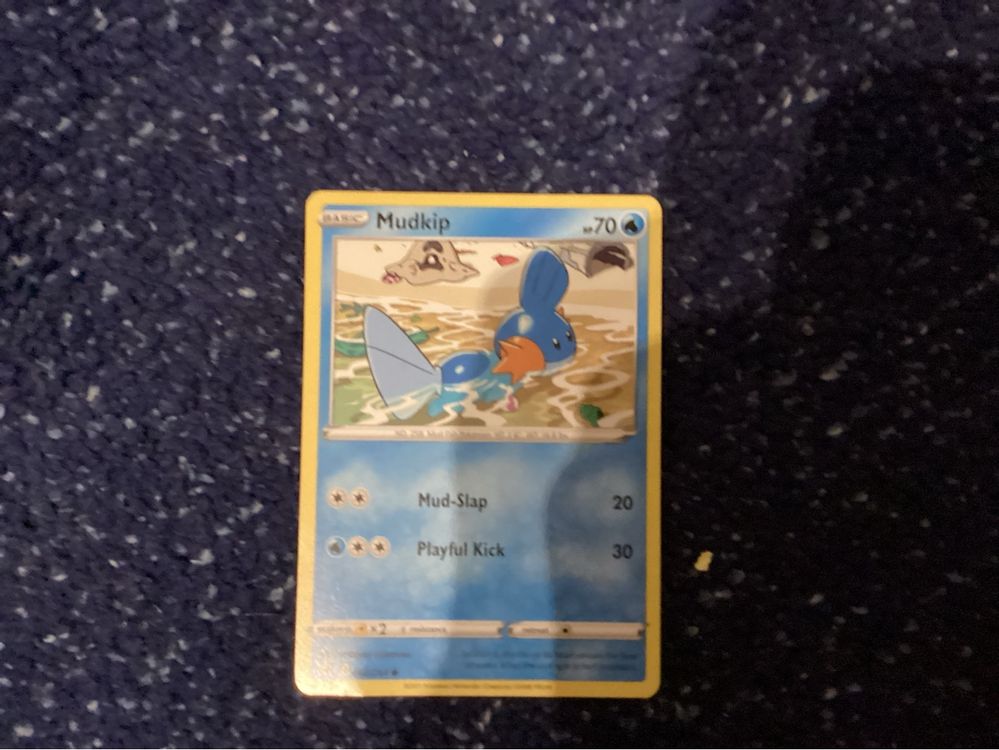 Pokemon TCG Swampert Evolution Line + Code Card (Neu (gemäss ...