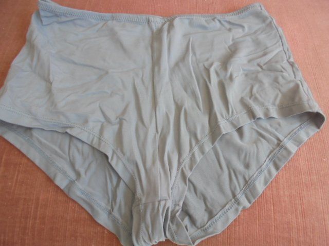 H&M Altra biancheria intima: Slip Gr. 44/46 Grau H&M NEU – Nuovo (secondo la descrizione) da Hinwil venduto da Glasperlen