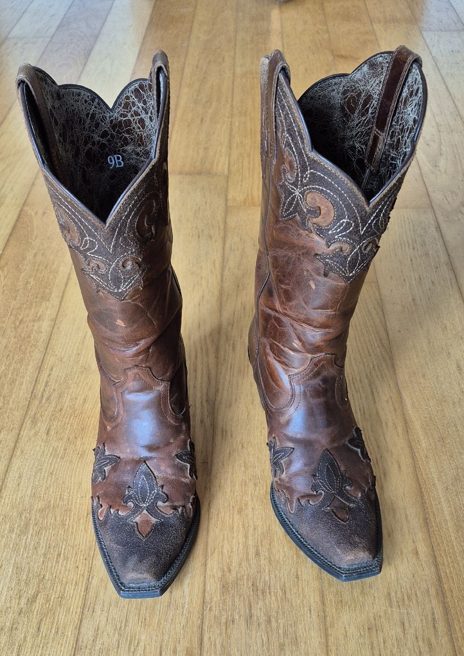 Ariat Chaussures femmes: Westernboots Ariat – Neuf (Voir description) à Hallwil par Simaja